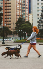 Serviço de Dog Walker