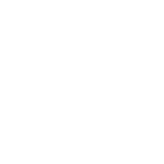 Ícone do WhatsApp